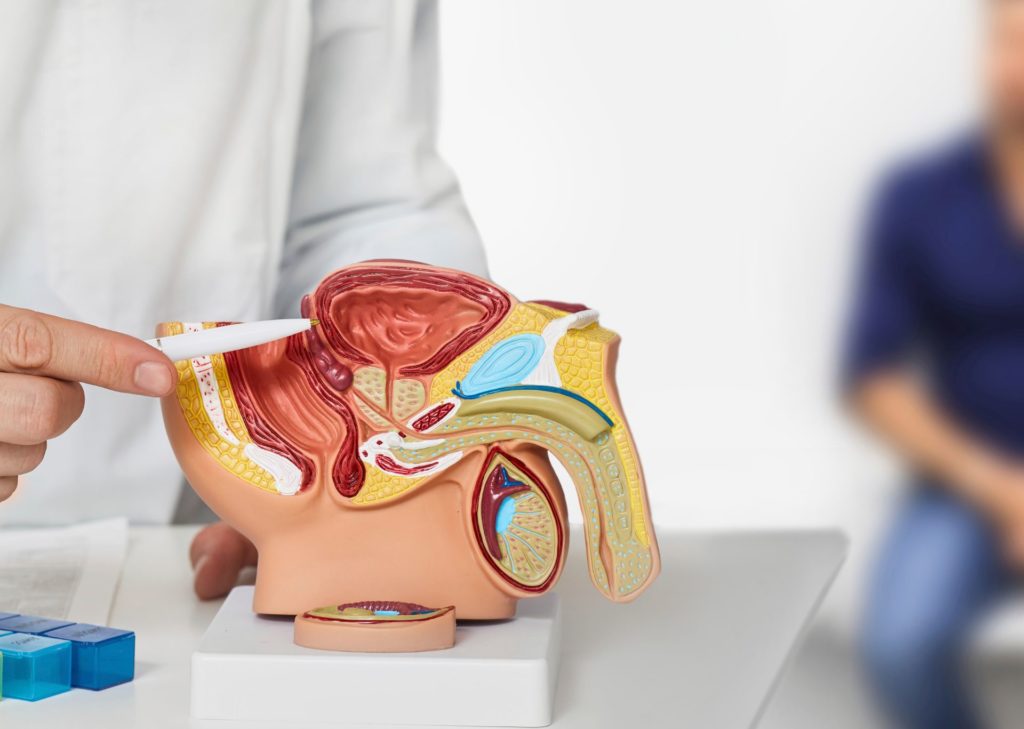 incontinences-urinaires-physiotherapie Incontinence urinaire après chirurgie de la prostate - rééducation périnéale spécifique à l'homme après prostatectomie, pour retrouver le contrôle urinaire et améliorer la qualité de vie.