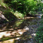 La_Louve_Bois-Mermet_Lausanne_2